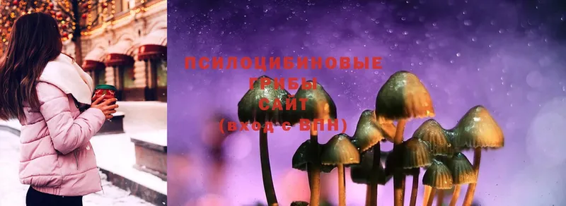 Галлюциногенные грибы Cubensis  Буйнакск 